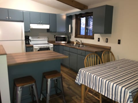 Kitchen equipped fridge, stove, microwave, crockpot, blender, and other basics