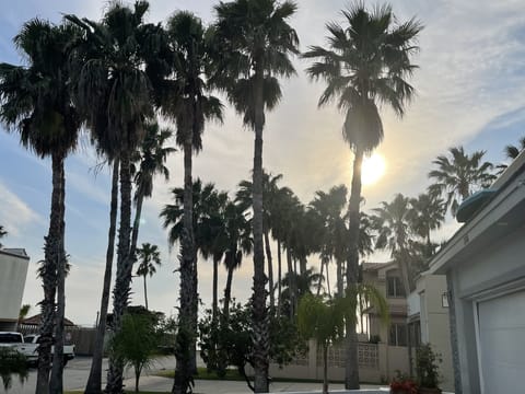            ~CASA DE LAS PALMAS~