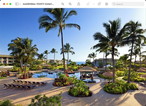 Main Resort Pool