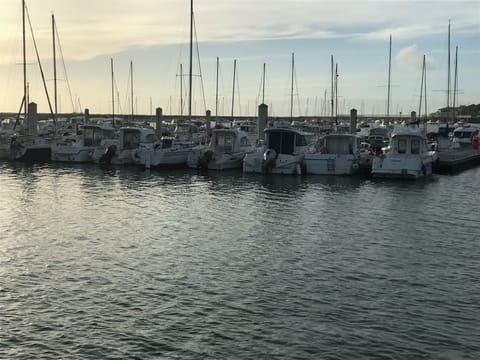 Marina
