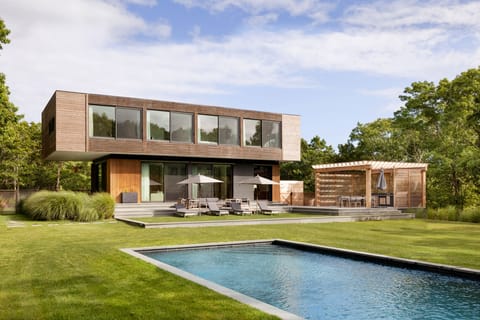 Sun Filled Yard