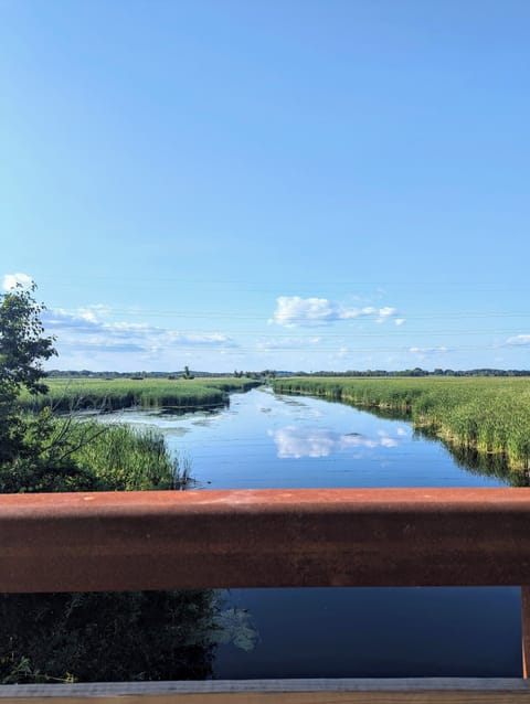 View from the Lower Yahara River Trail!