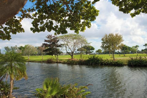 Breathe in tranquil water views framed by tropical trees.