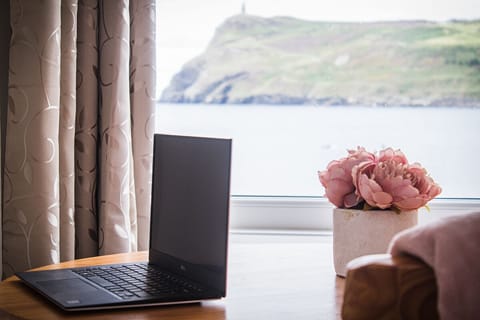 Work from home with this view of the seai