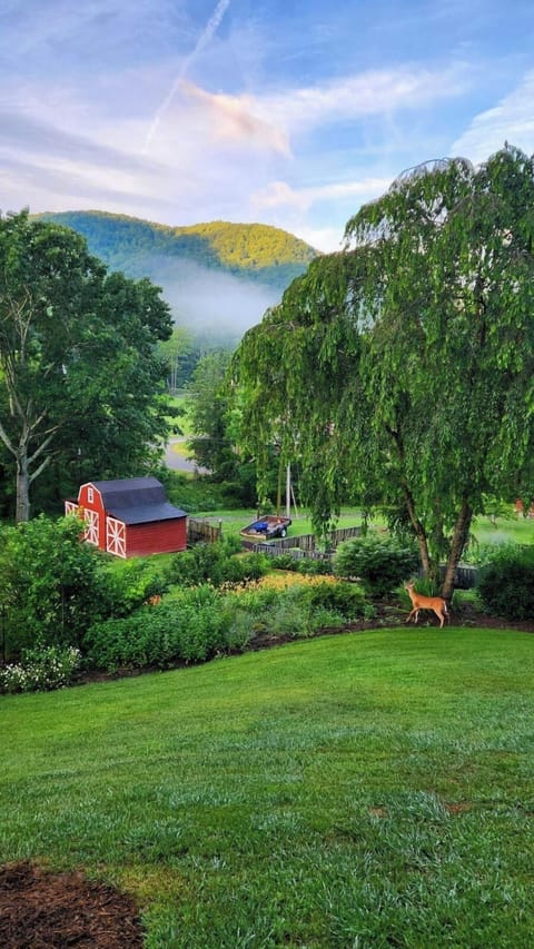 View from the patio in the evening