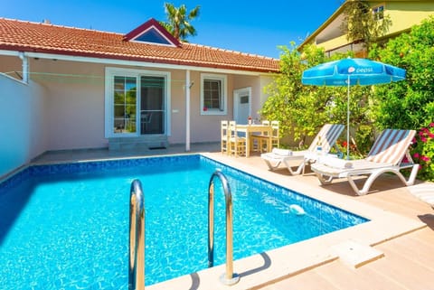 Beautiful villa with private pool, terrace, and garden