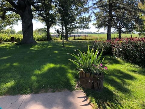 View from east kitchen window