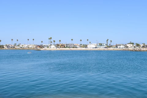 Gorgeous harbor views
