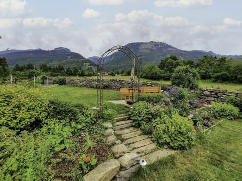 Sky, Plant, Cloud, Mountain, Flower, Natural Landscape, Highland, Tree, Street Light, Mountainous Landforms