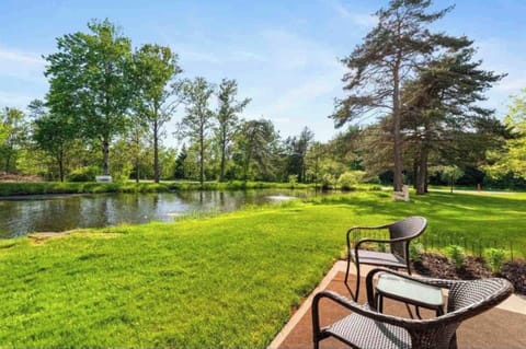 Patio overlooking pond | Fish or bird watch