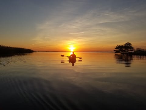 Beautiful Sunsets at the Back Bay. 
