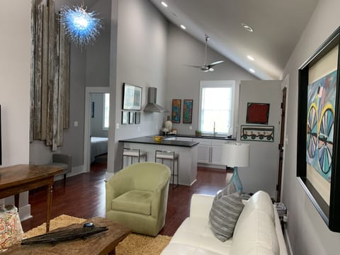 Modern Carriage House Living/Kitchen area