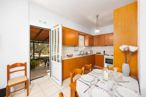 Open-plan living room with sofas, dining area, kitchen, ornamental fireplace, A/C, WiFi internet, and satellite TV