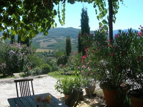 Mimosa Studio: Terrasse