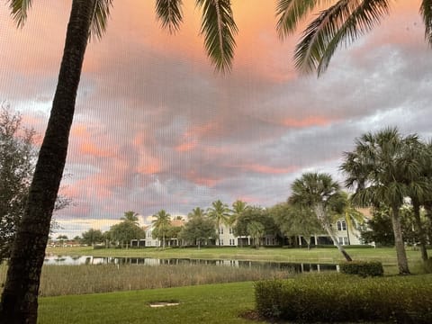 View from Lanai