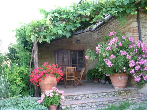 PePergola's terrace near the kitchen, with teak wood table.