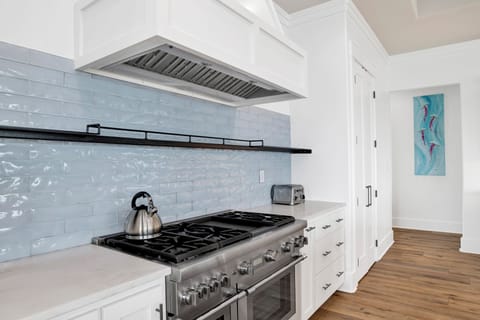 Stone counters and stainless appliances