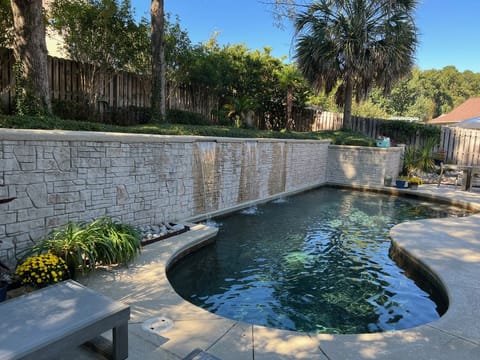 View of pool with palm trees that were untouched by Hurricane Helene.