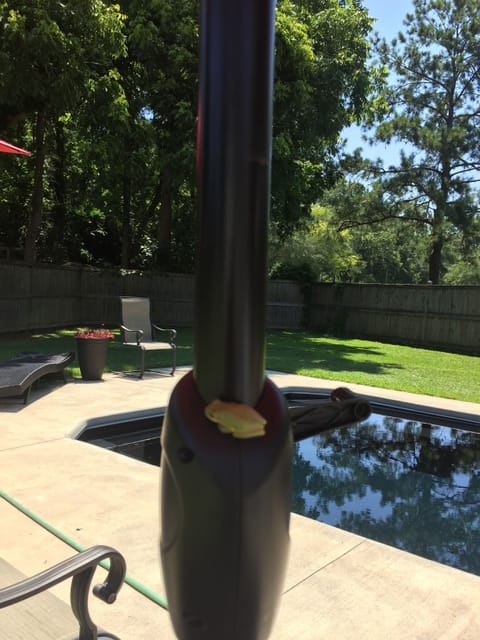 Medium-sized black pool with lots of sitting built in. 