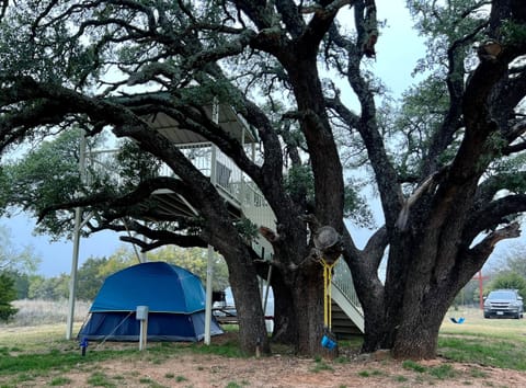 Tent shelter treehouse Lake Godstone
