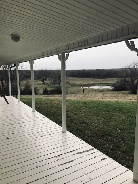 View from Back Porch.