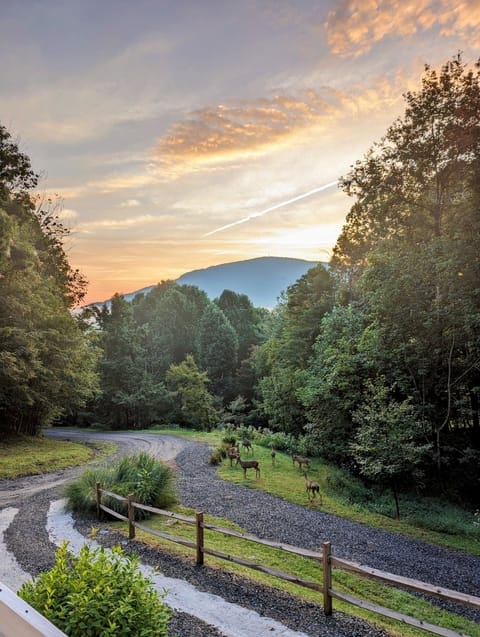Friends coming to visit