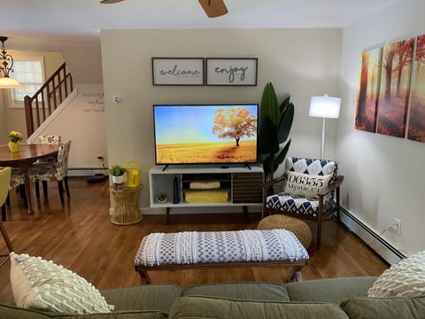 Living room with Roku and DVD player and complimentary DVDs.