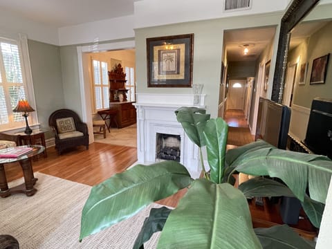 Living room - entrance 
