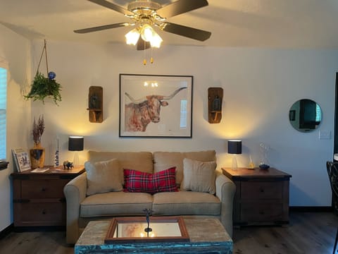 Living Room with double bed pull out couch with updated comfy mattress