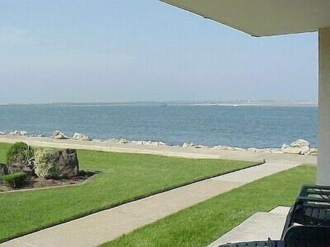 View from the patio