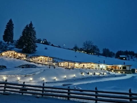 Amazing night views