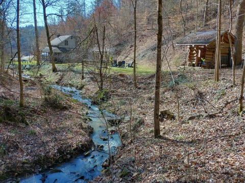 Enjoy exploring the beautiful property and stream during your stay.