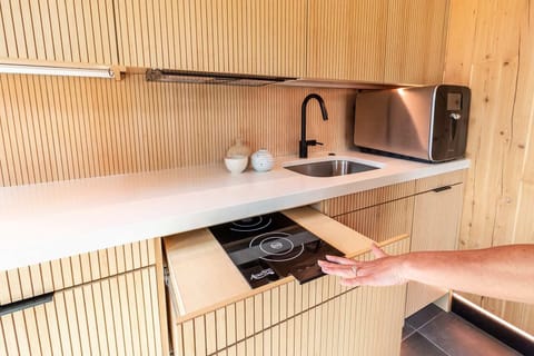 Hidden Fridge, Stove Top, and Dishwasher