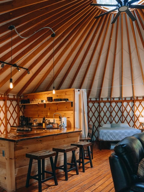 Living Room - Kitchen - Bedroom Area