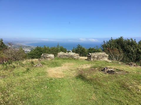 View from hill behind house