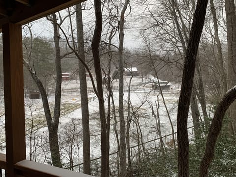 Winter view of adjacent farm