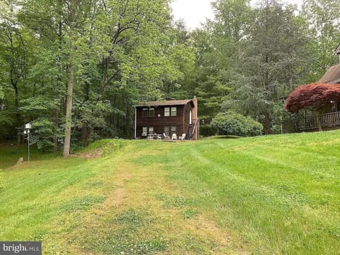Front View