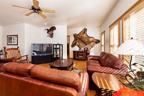 Living room with television