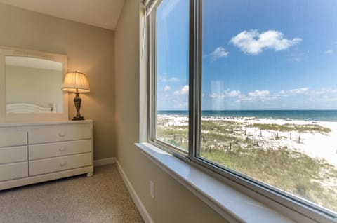 Master bedroom window 