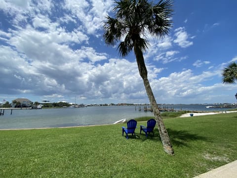 View from the back door of Little Sabine Bay