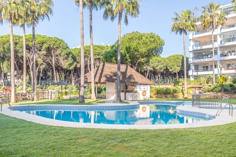 Views of the complex