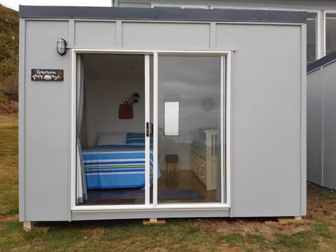 The Toheroa Shell-aye!