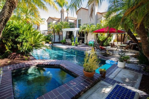 This is my back yard