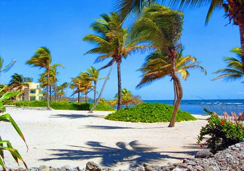 Walk right next door for great food at the hotel..Palms at Pelican Cove
