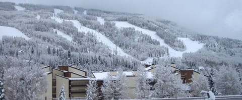 Our building with Vail Mountain behind it