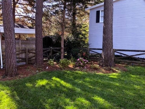 Yard w/New Landscaping