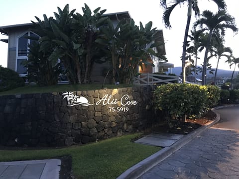 Welcome to Alii Cove
