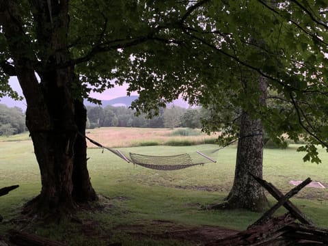 Hammock for relaxing 