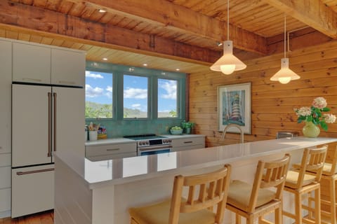 All NEW kitchen & appliances with hand made zellige tile.