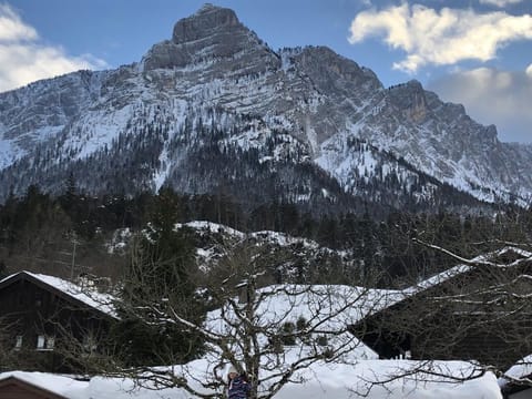 Ferienwohnung Reiteralmblick - Regina Häusl - Ferienwohnung Reiteralmblick Apartment in Berchtesgadener Land
